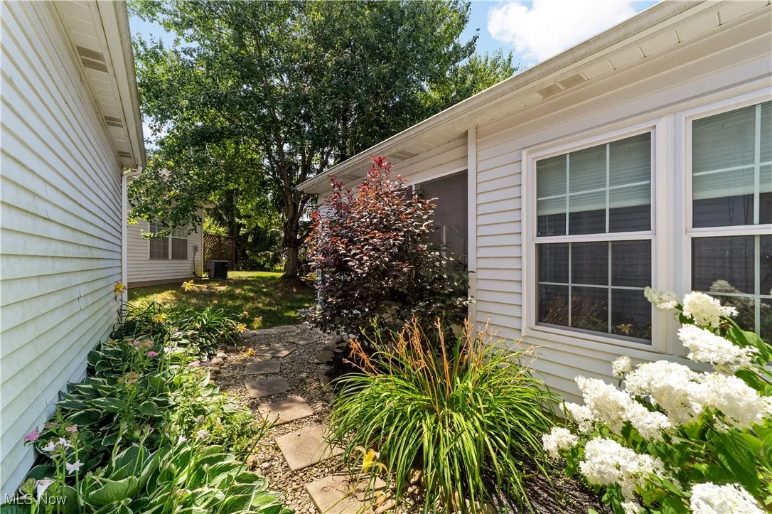 Side Yard Area