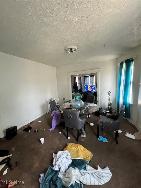 Carpeted living room with a textured ceiling