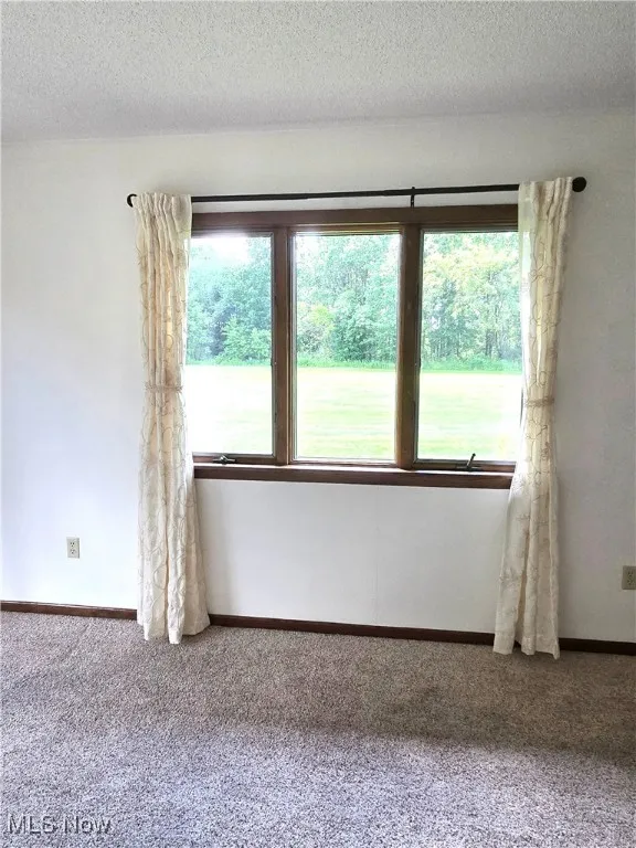4112 Swanson Boulevard # 48, Wooster, Ohio,MLS Now Listing ID