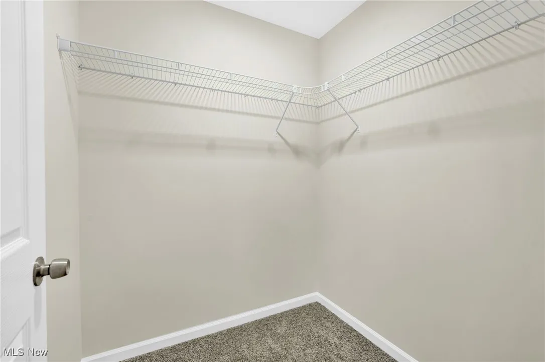 Walk in closet with carpet