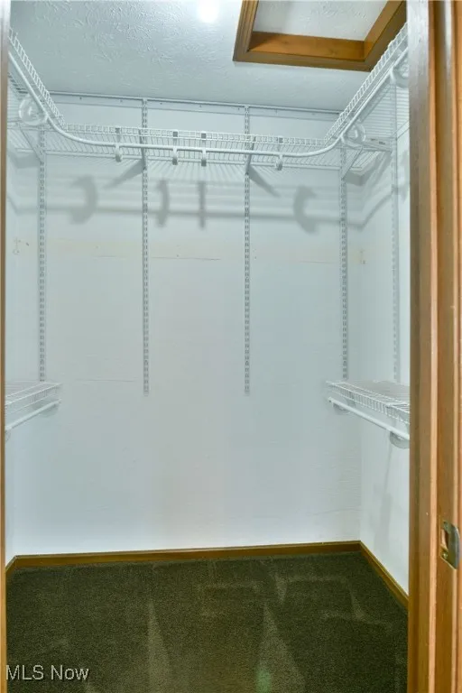 Spacious closet with carpet