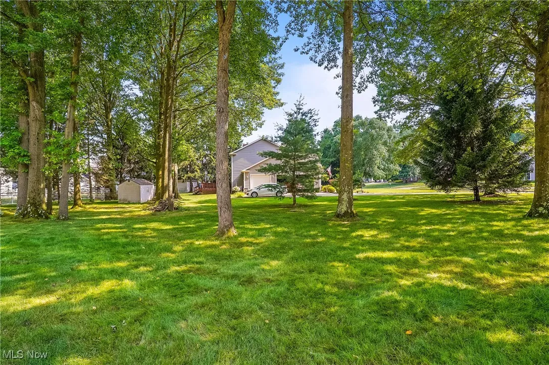 View of green lawn featuring a storage unit