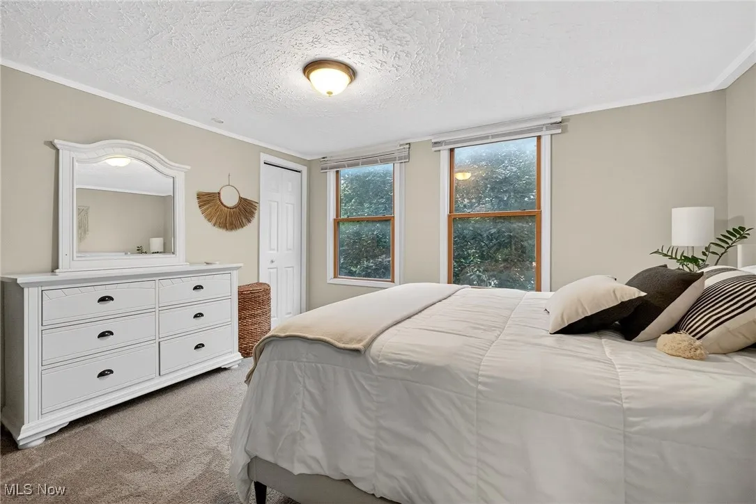Bedroom with carpet flooring, crown molding, a textured ceiling, and a closet