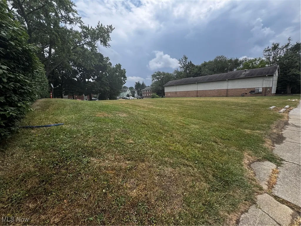 View of grassy yard