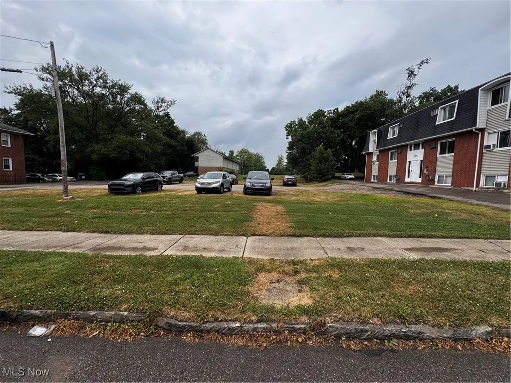 View of grassy yard