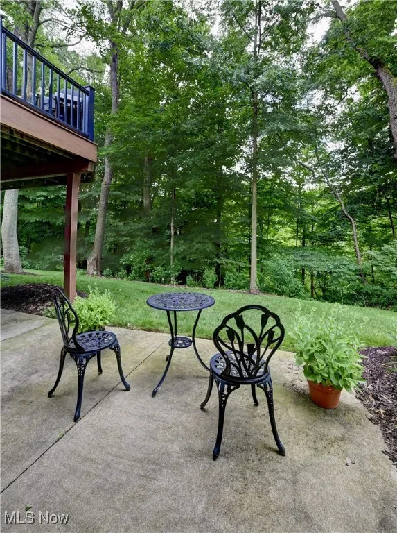 Patio from Walk out Lower Level