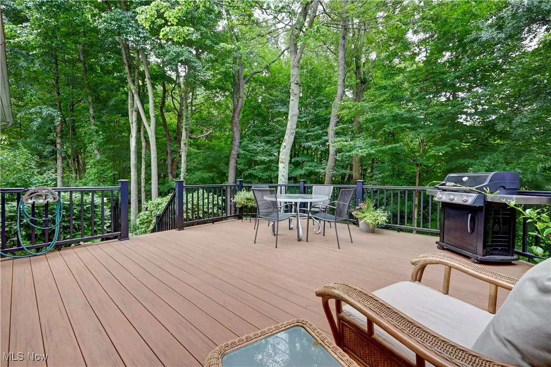 Back Deck off Kitchen