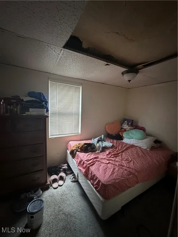 Bedroom with carpet flooring