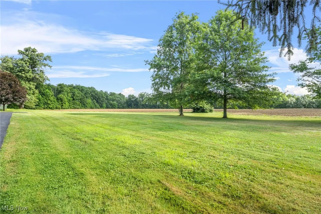 11167 Lair Road, Alliance, Ohio,MLS Now Listing ID