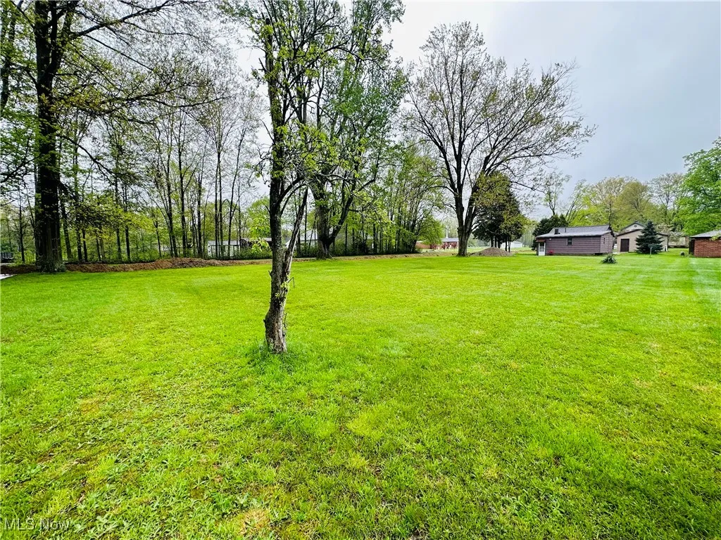 View of grassy yard