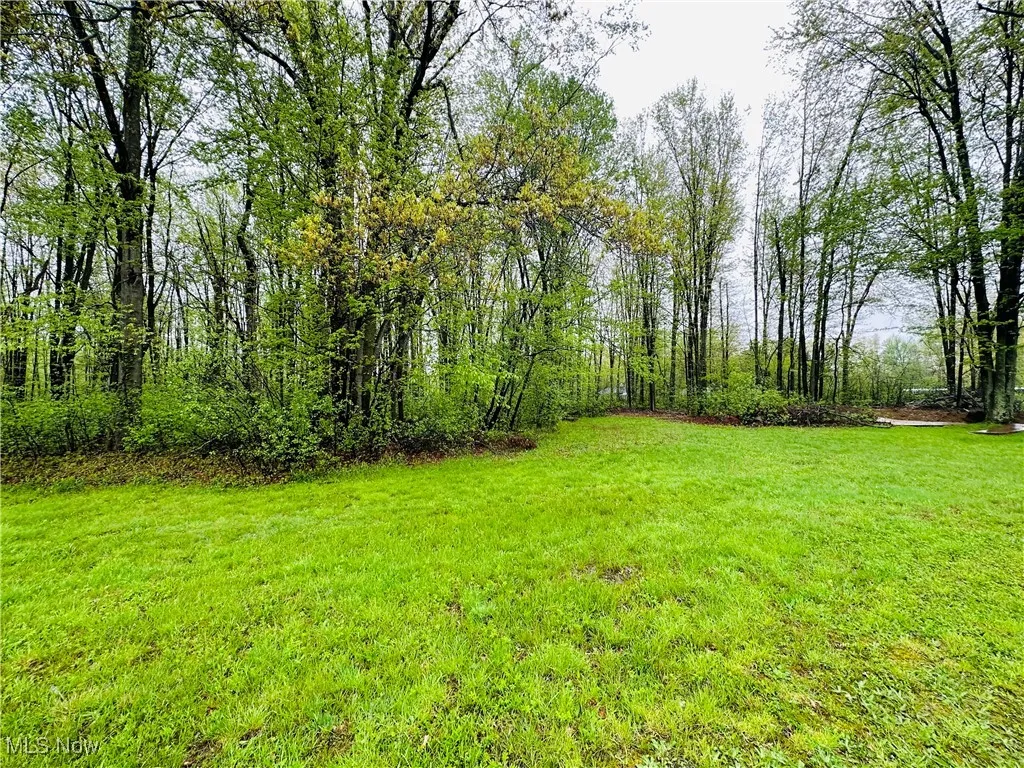 View of grassy yard