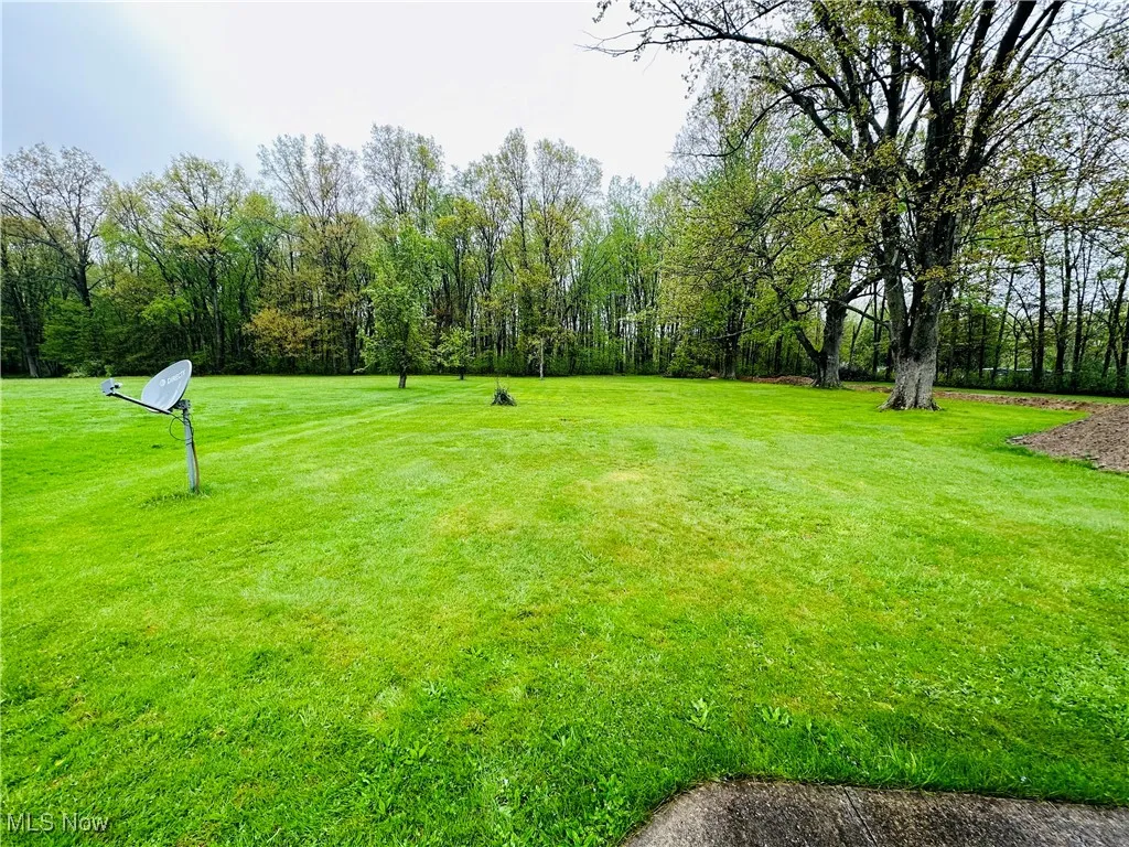 View of green lawn that backs up the woods!