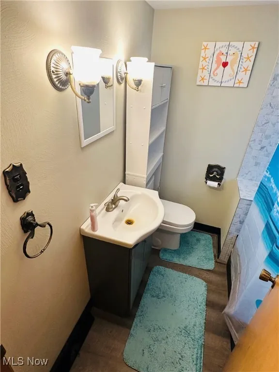 Full bath featuring vanity, wood finished floors, and a shower with shower curtain