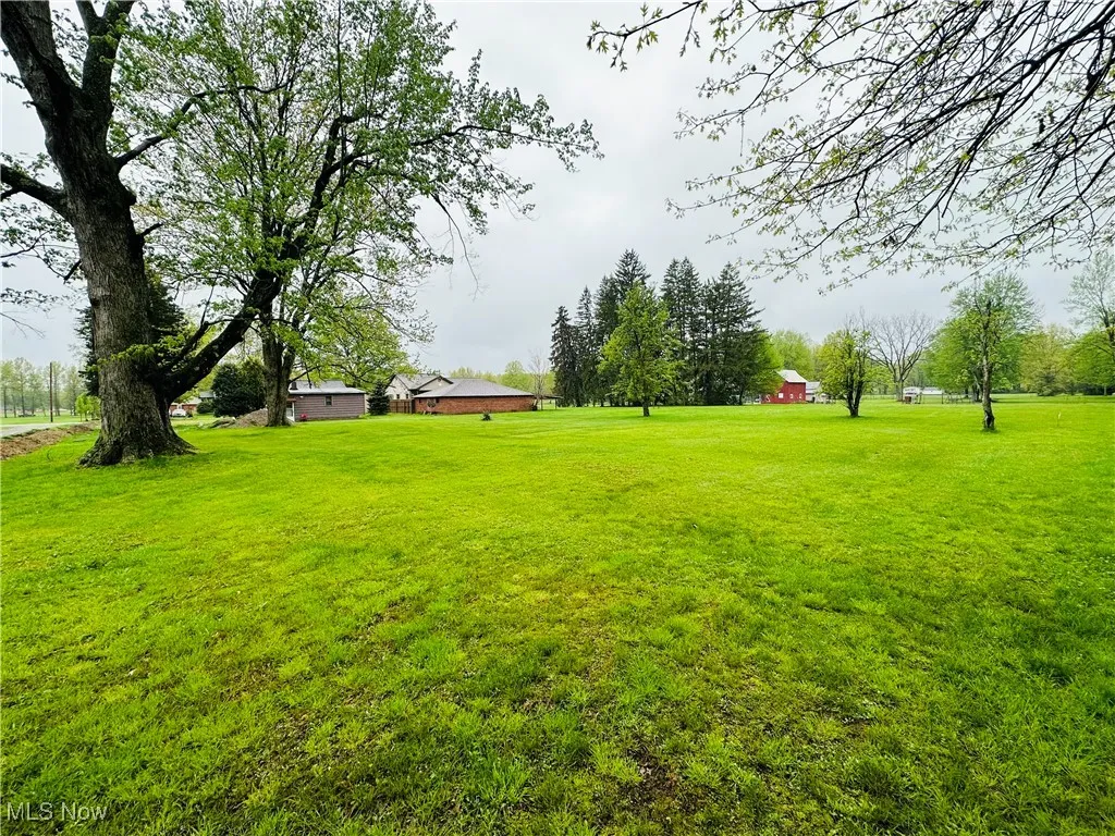 View of oversized grassy yard