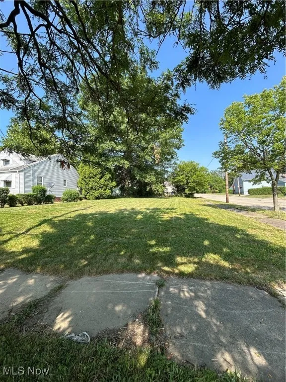 View of grassy yard