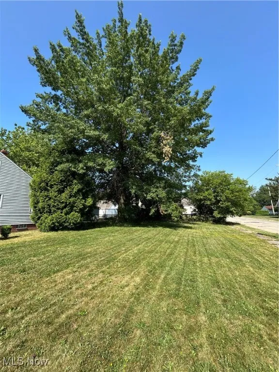 View of grassy yard