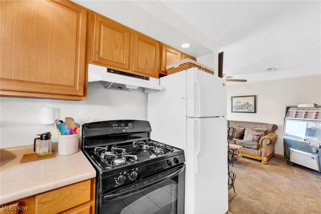 9373 Murray Ridge Road, Elyria, Ohio,MLS Now Listing ID