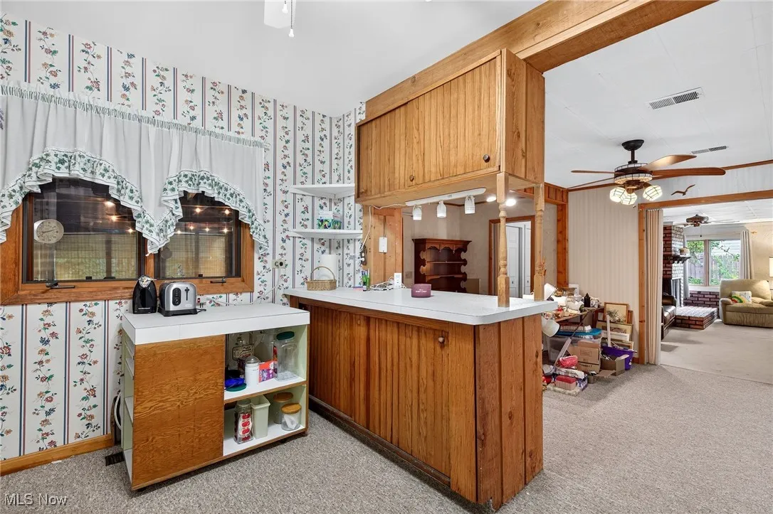 6037 Douglas Drive, Madison, Ohio,MLS Now Listing ID
