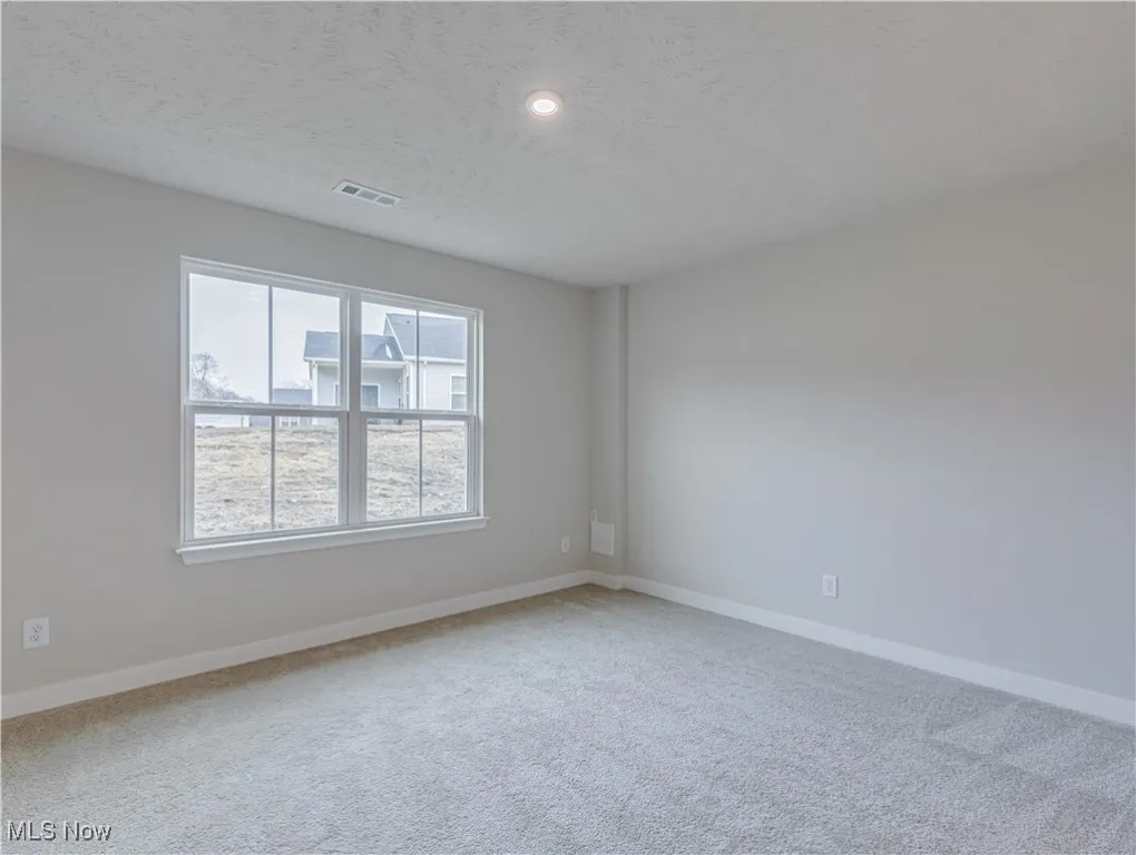 First floor primary bedroom with carpet flooring