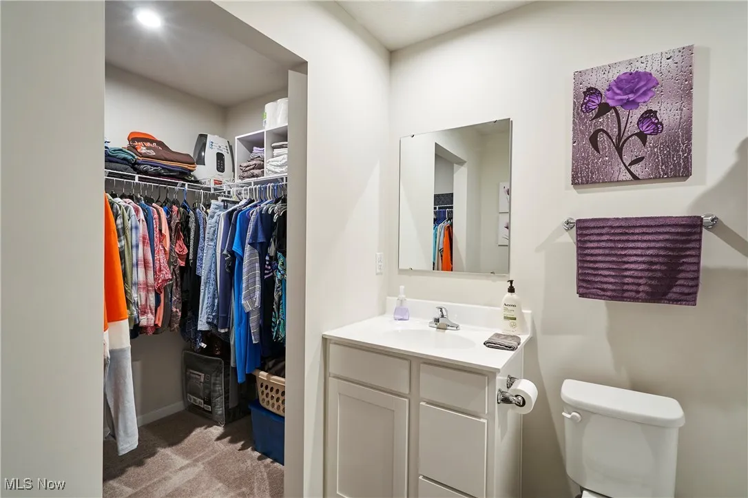 Bathroom with vanity and a walk in closet