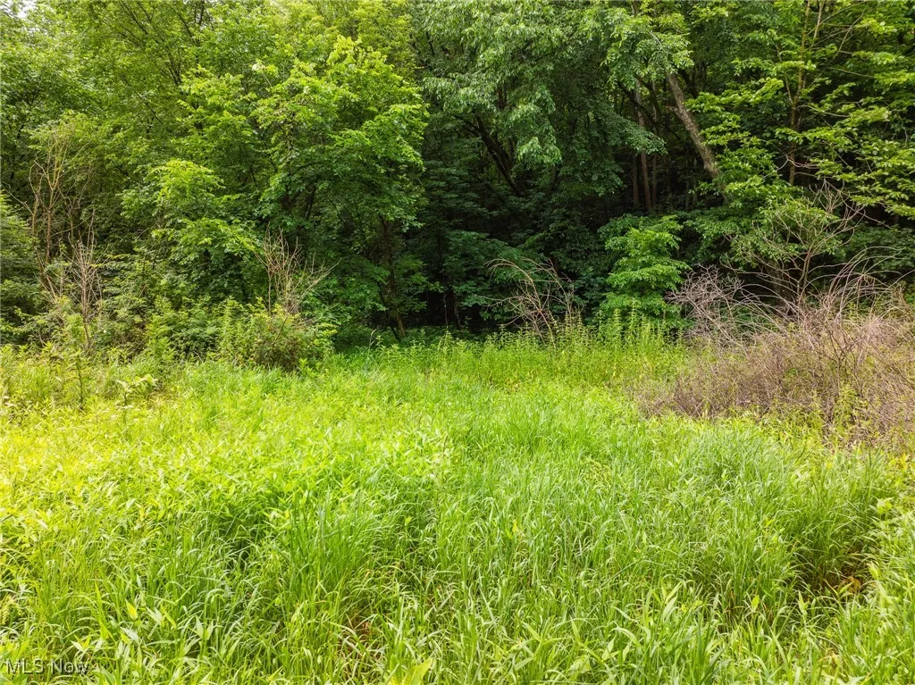 Hazel Run Road, Salineville, Ohio,MLS Now Listing ID