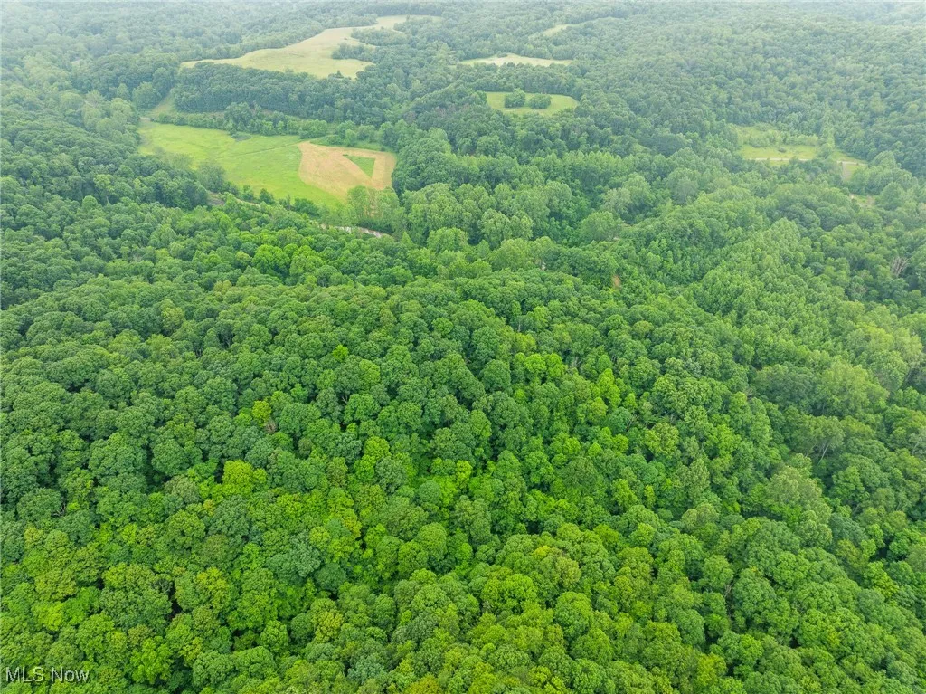 Hazel Run Road, Salineville, Ohio,MLS Now Listing ID