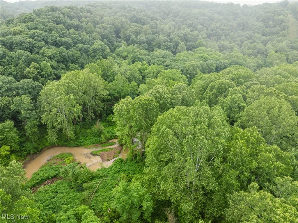 Hazel Run Road, Salineville, Ohio,MLS Now Listing ID