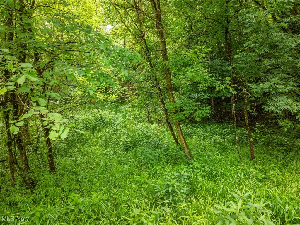 Hazel Run Road, Salineville, Ohio,MLS Now Listing ID