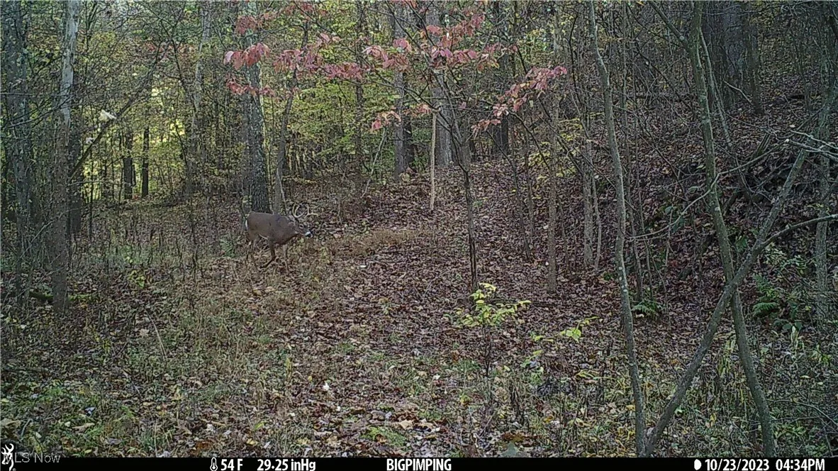 Hazel Run Road, Salineville, Ohio,MLS Now Listing ID