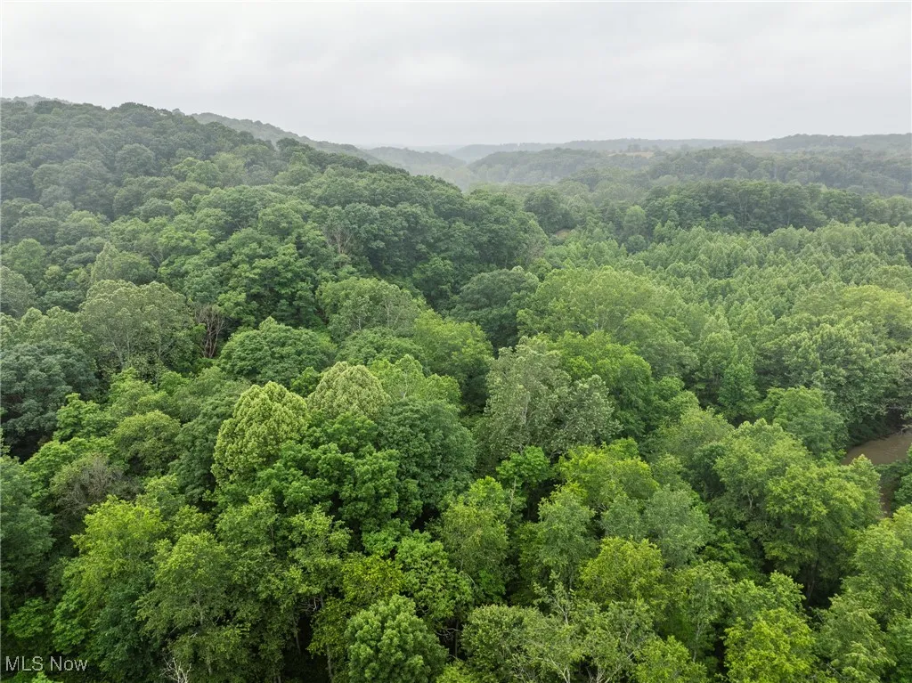 Hazel Run Road, Salineville, Ohio,MLS Now Listing ID