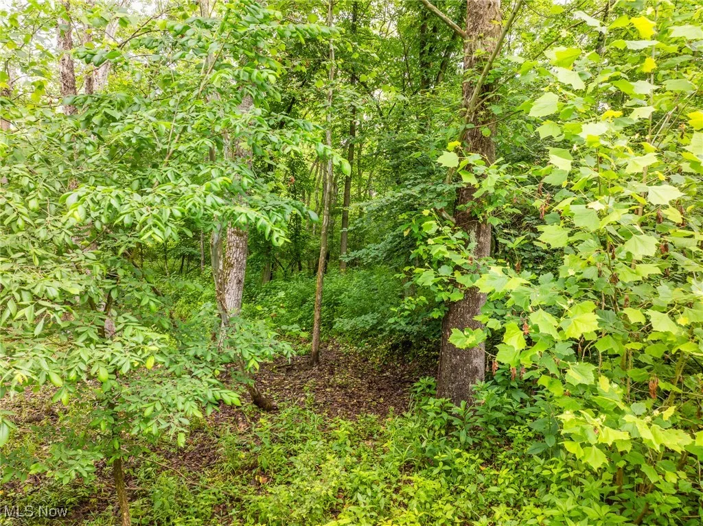 Hazel Run Road, Salineville, Ohio,MLS Now Listing ID