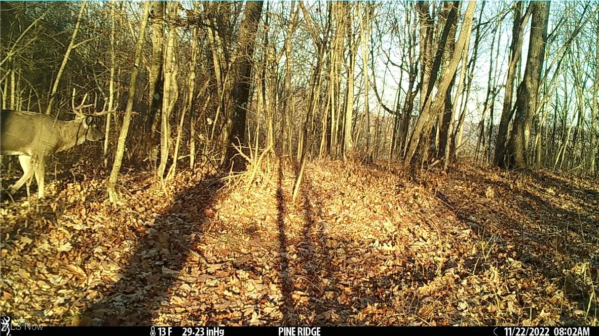 Hazel Run Road, Salineville, Ohio,MLS Now Listing ID