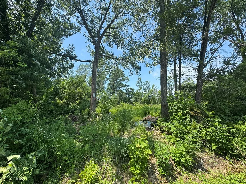 Denver Avenue, Lorain, Ohio,MLS Now Listing ID