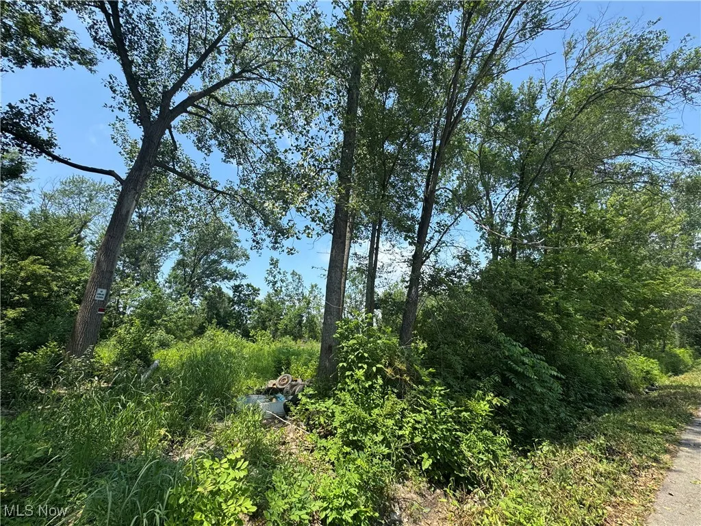 Denver Avenue, Lorain, Ohio,MLS Now Listing ID