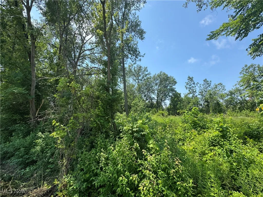 Denver Avenue, Lorain, Ohio,MLS Now Listing ID