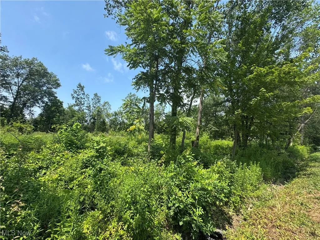 Denver Avenue, Lorain, Ohio,MLS Now Listing ID