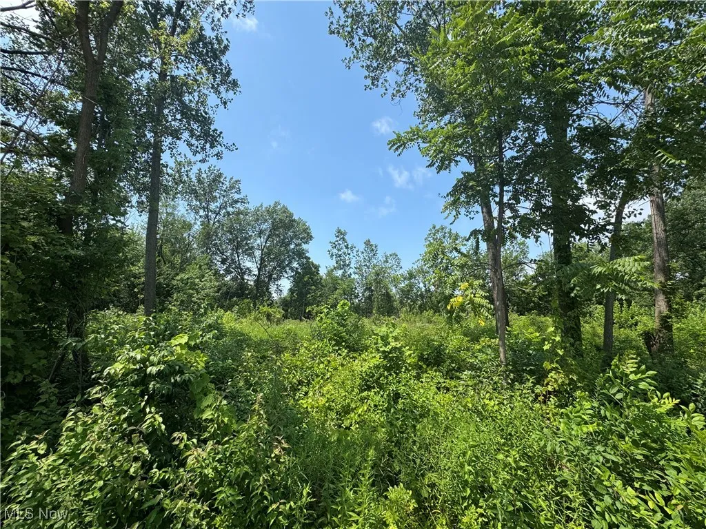 Denver Avenue, Lorain, Ohio,MLS Now Listing ID