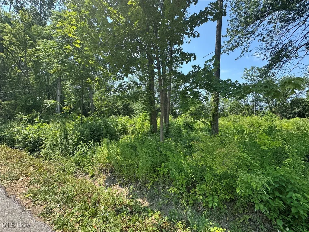Denver Avenue, Lorain, Ohio,MLS Now Listing ID