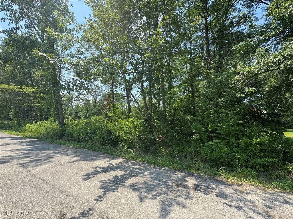 Denver Avenue, Lorain, Ohio,MLS Now Listing ID