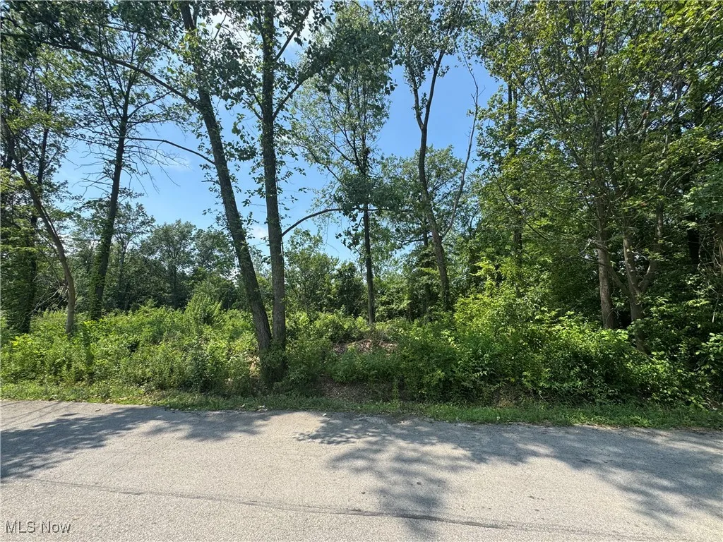 Denver Avenue, Lorain, Ohio,MLS Now Listing ID
