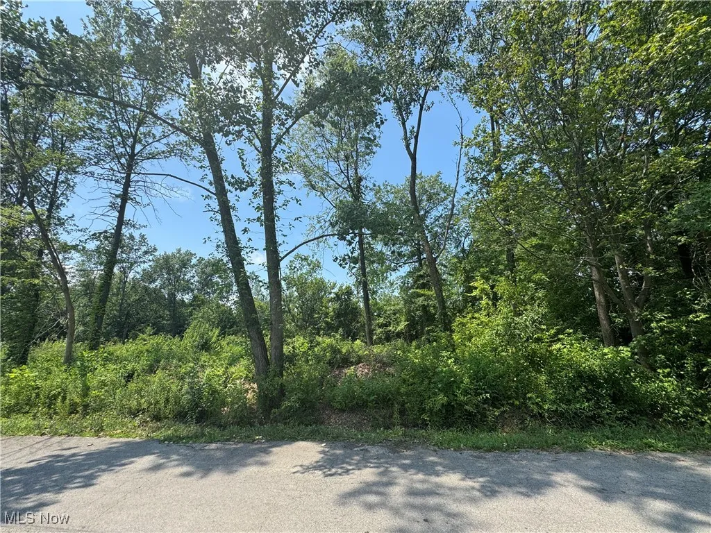 Denver Avenue, Lorain, Ohio,MLS Now Listing ID