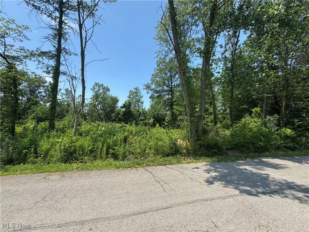 Denver Avenue, Lorain, Ohio,MLS Now Listing ID