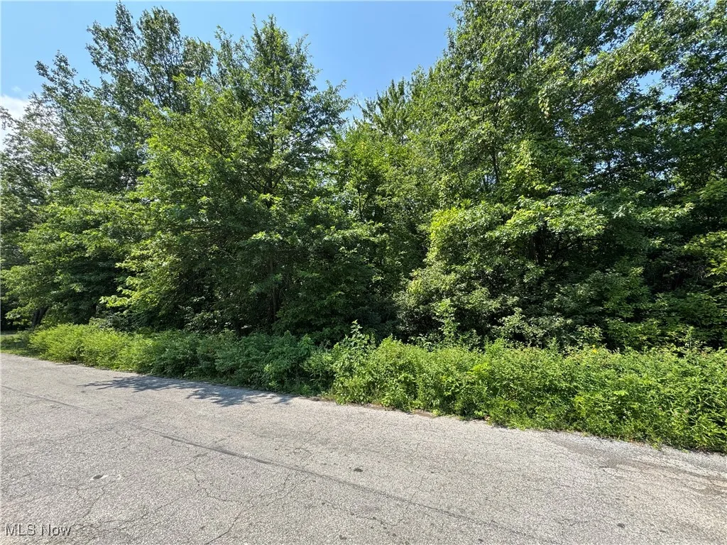 Denver Avenue, Lorain, Ohio,MLS Now Listing ID