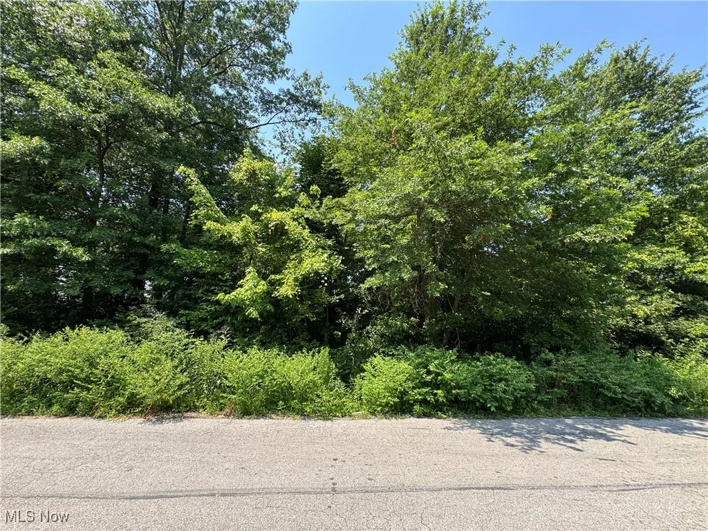 Denver Avenue, Lorain, Ohio,MLS Now Listing ID