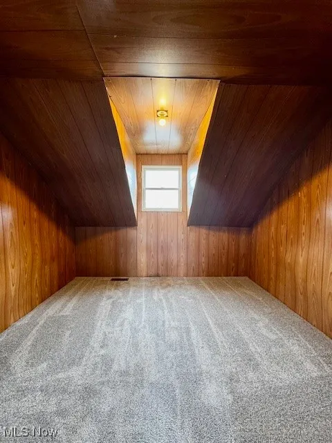 Additional living space featuring new carpet, wood walls, and wood ceiling