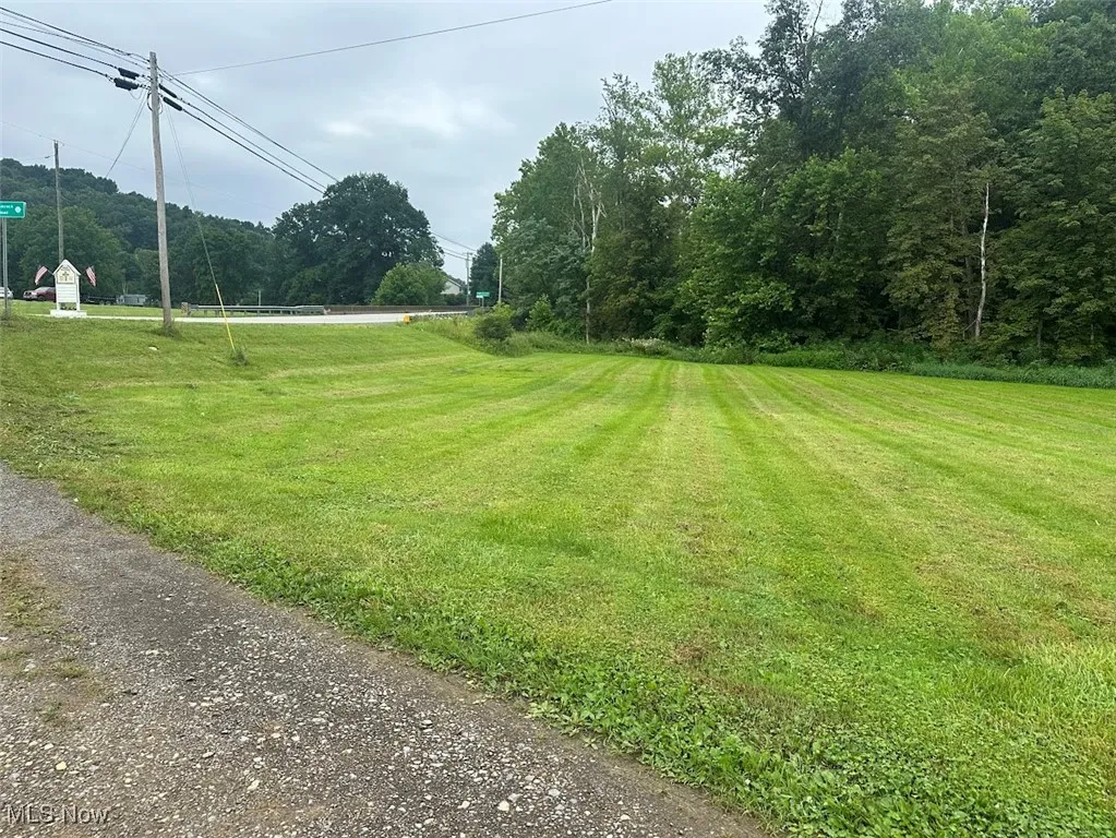 View of grassy yard