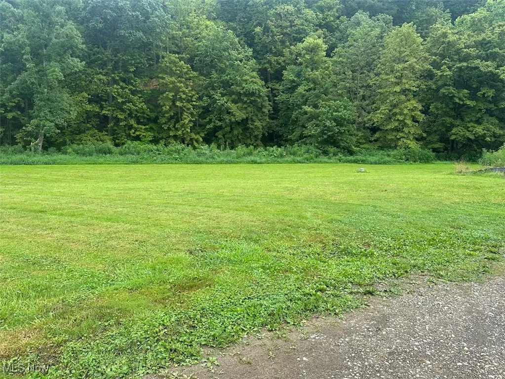 View of grassy yard