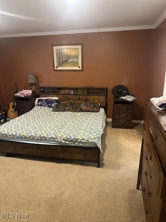 Bedroom featuring light colored carpet and crown molding