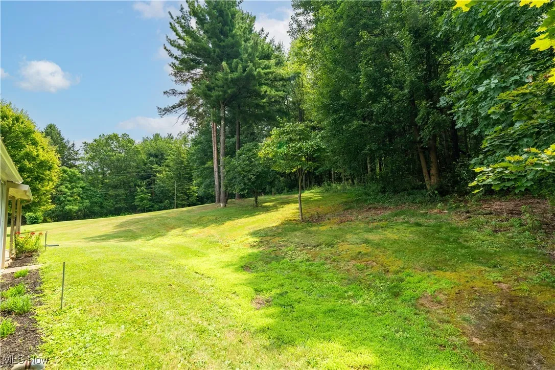 View of green lawn