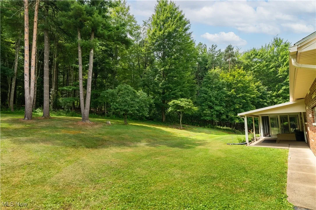View of grassy yard with a patio